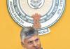 Andhra Pradesh Fuel Shortage: CM Chandrababu Naidu Orders Emergency Action Plan as Panic Buying Shuts 421 Petrol Bunks