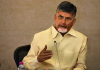 Naidu welcomes EC clarification on SIR, says it ends misconceptions